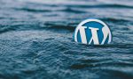 WordPress Ping Servisleri 2022