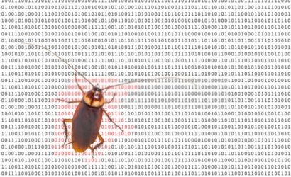 bug-nedir