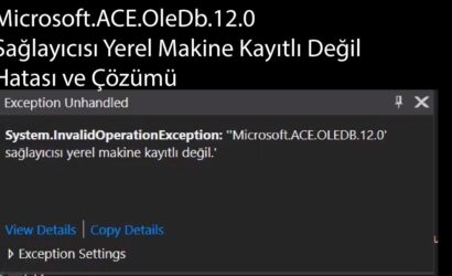 Microsoft.ACE.OLEDB.12.0